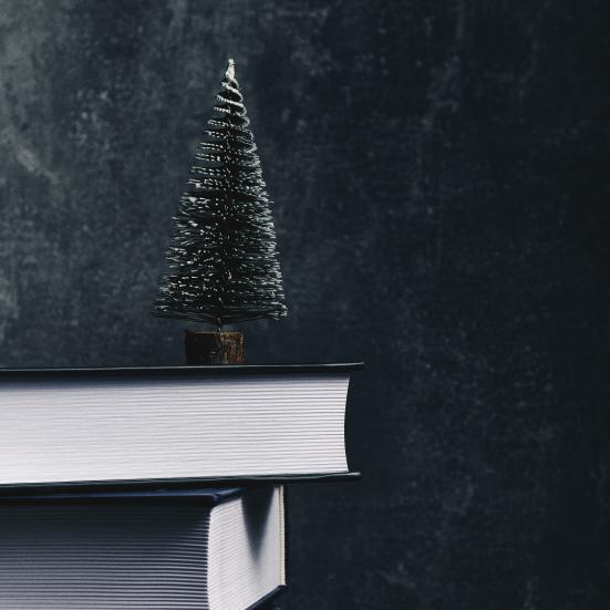 24 anbefalinger til din juleferie