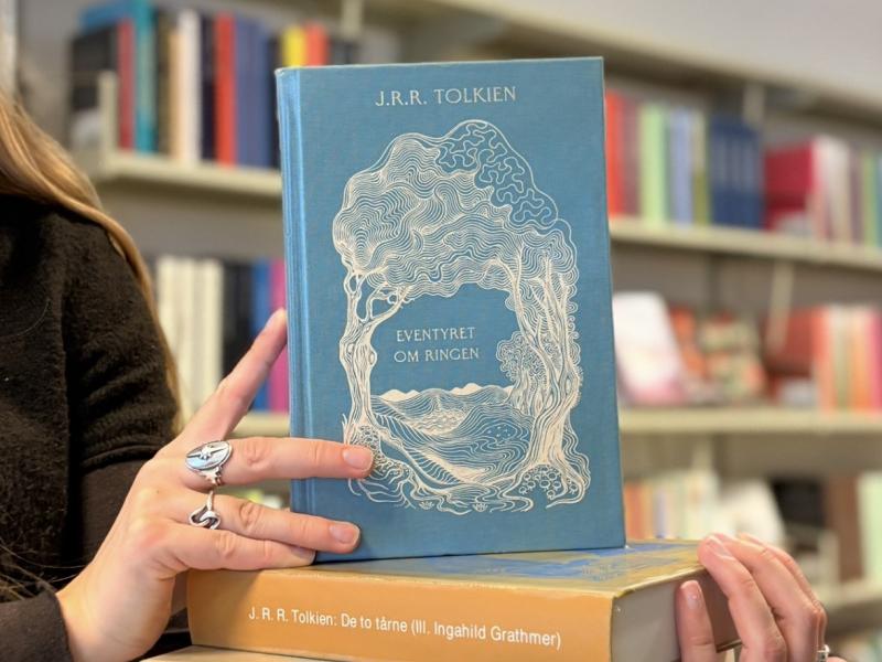 Hvad kan litteraturen lære os om magt og lederskab?