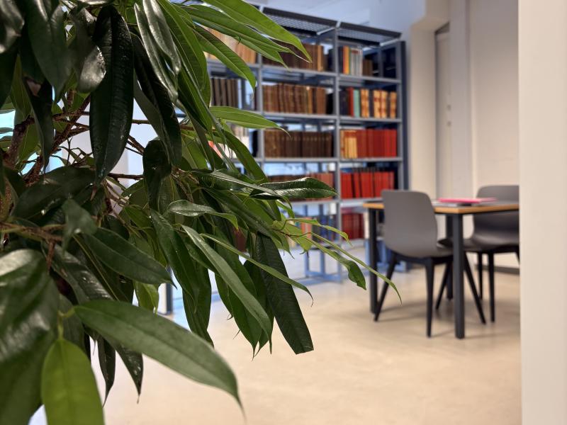 Lidt grønt på biblioteket